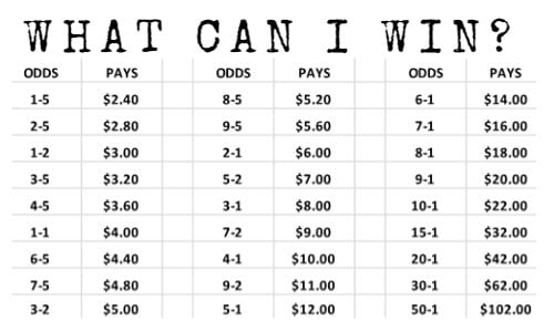 Horse racing betting payout chart.