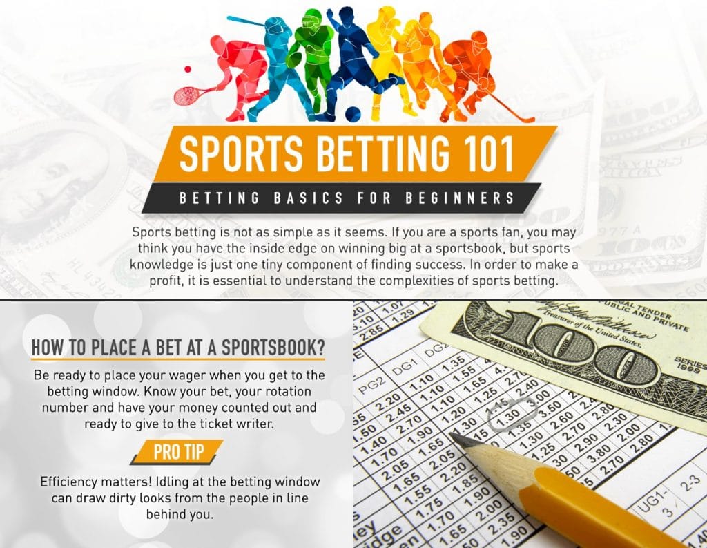 Sports Betting 101 guide infographic preview