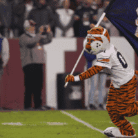 Auburn Football mascot runs on field