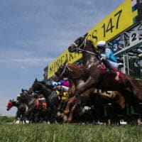 2022 Preakness Stakes Results and Payouts