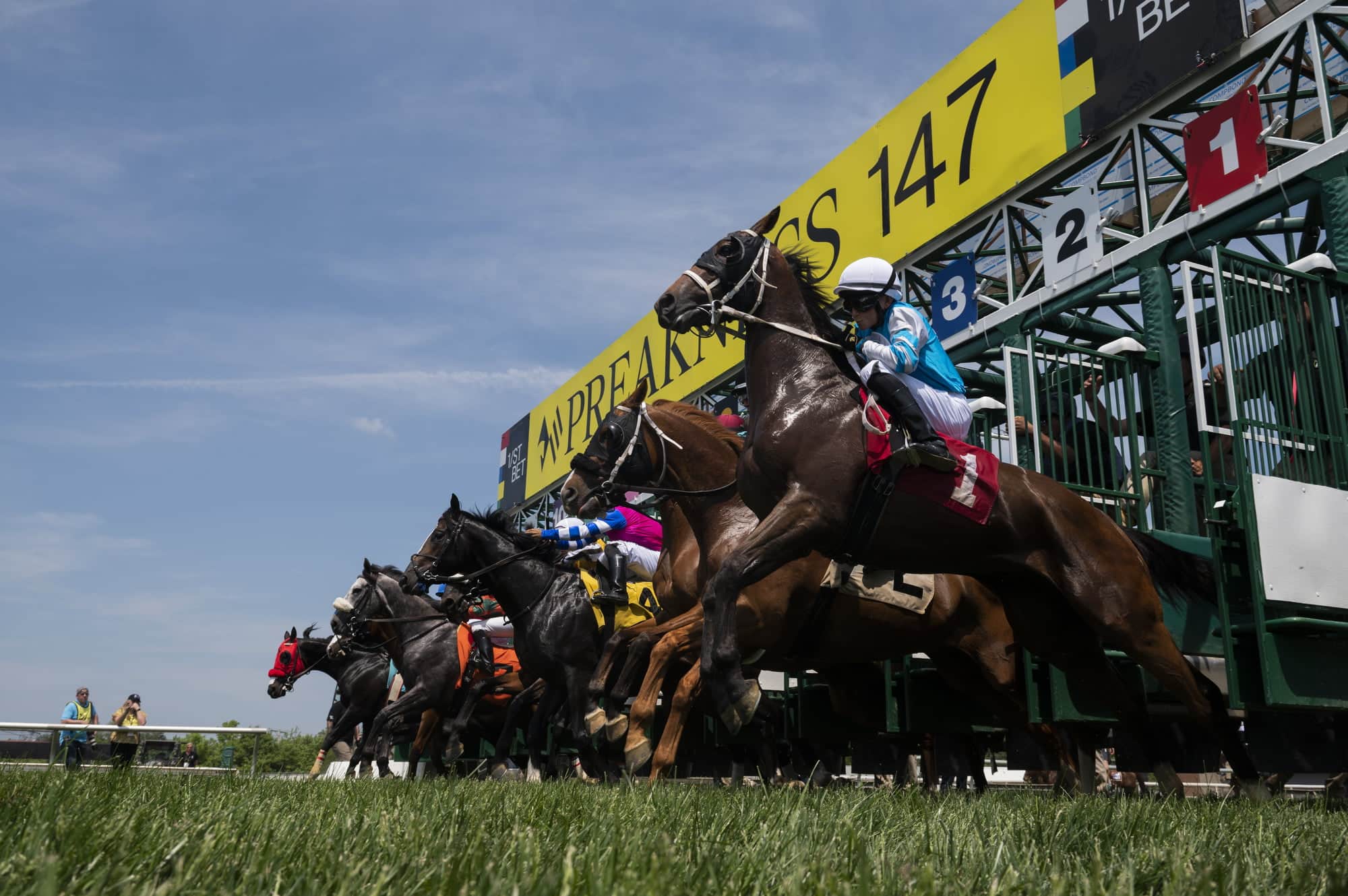 Preakness Stakes 2022 Results and Payouts Early Voting Wins, Paying