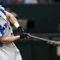 Seibu Lions Batter Hits Ball