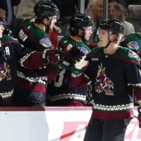 Arizona Coyotes celebrate goal