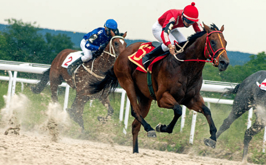 horserace1