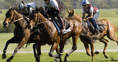 Preakness Betting - What is A Trifecta Bet? Horse Betting Trifecta Bets  Explained