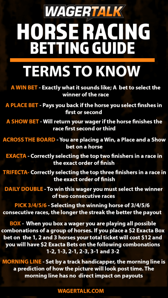 Horse Racing Betting Terms and Guide.