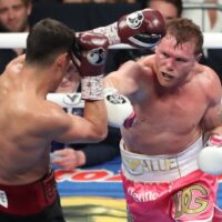 Canelo Alvarez punches opponent