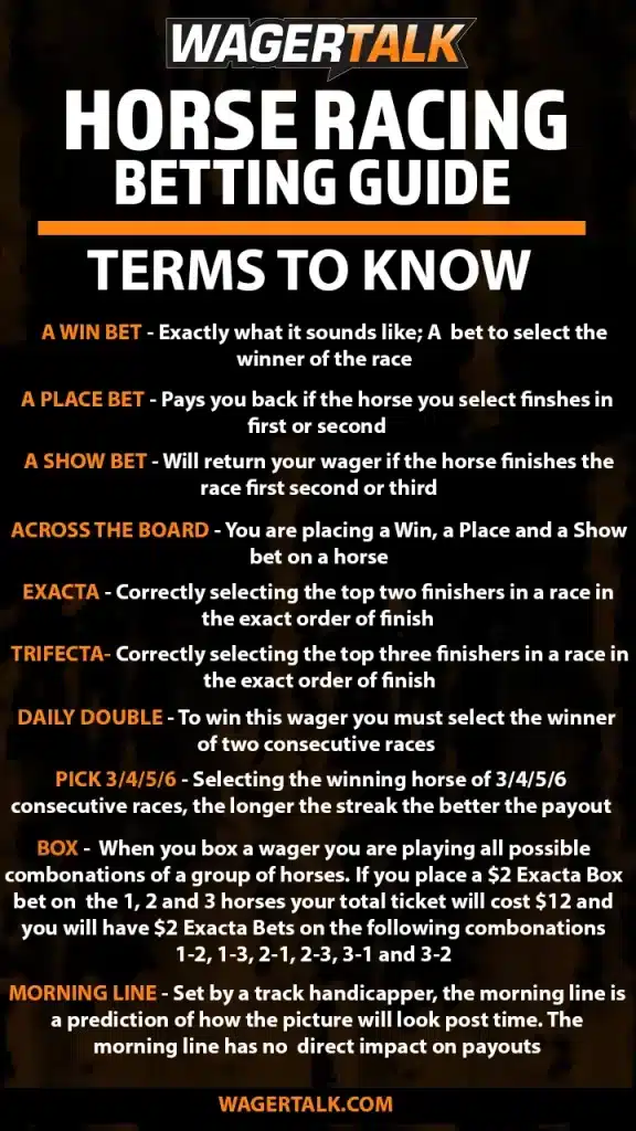 Horse racing guide