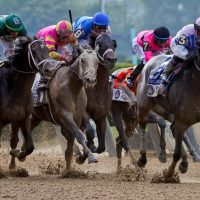 Belmont Stakes Odds, Predictions and Picks